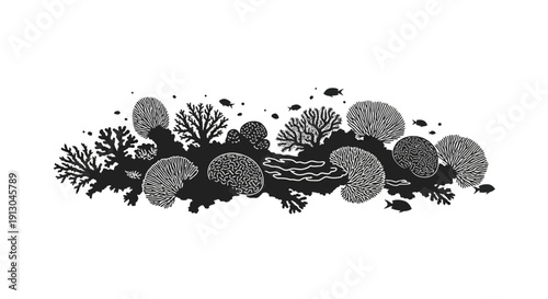 Black and White Mushroom Fungi Illustration.