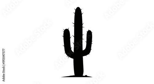 Cactus plant in desert landscape.