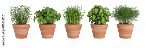 Five potted herbs for cooking and gardening potted plants green isolated on a transparent background