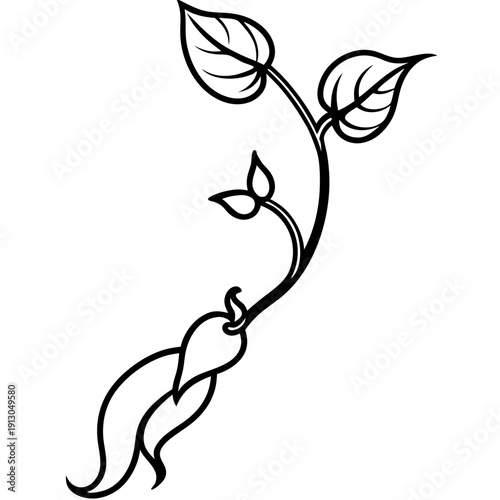 Milk Pea Vine - Humility in Growth Climbing Plant Vector