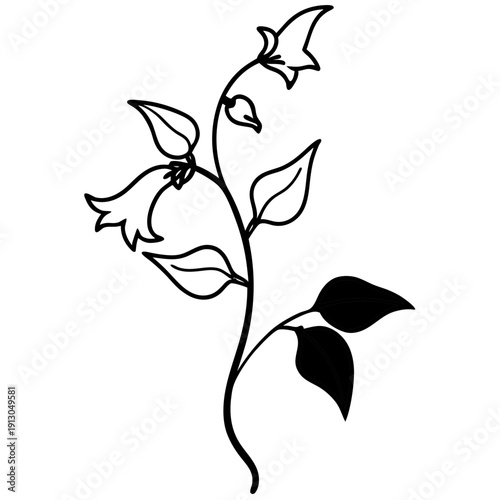 Milk Pea Vine - Humility and Growth Climbing Plant Vector Art