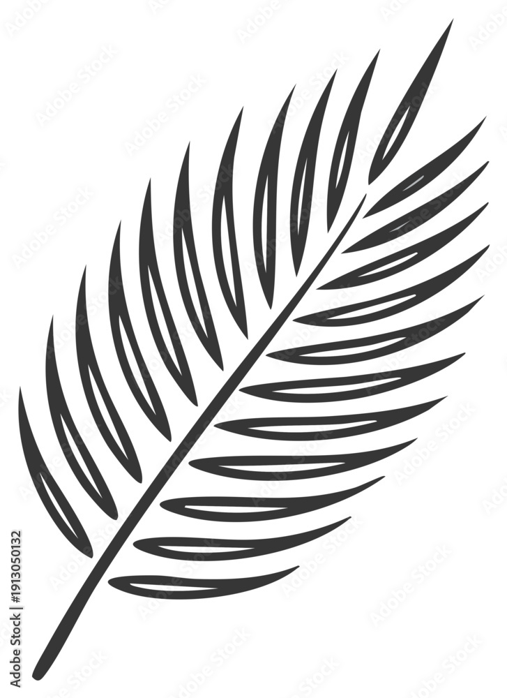 Fototapeta premium Minimalist Black Palm Leaf Illustration for Tropical Summer Design Element