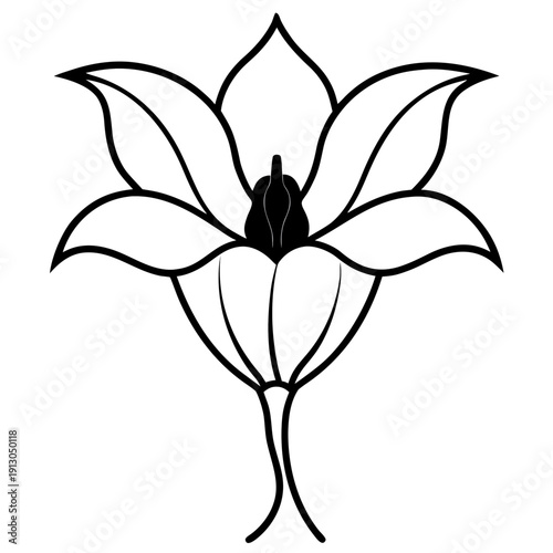 Climbing Cobaea Scandens Alba Floral Symbol of Purity and Serenity