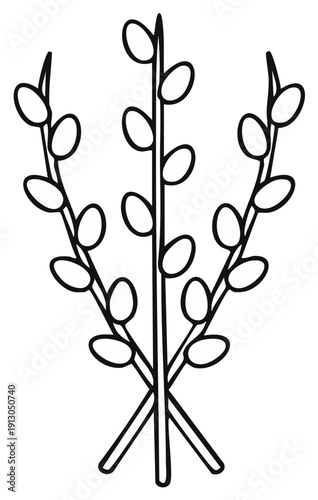 Black and white illustration of a stylized bouquet of pussy willow branches