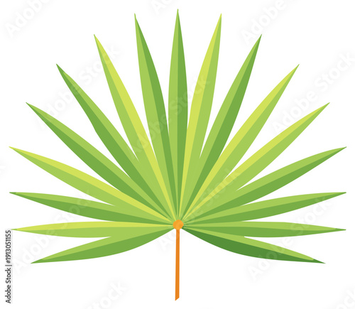 Stylized palm frond with symmetrical green leaves extending from central point for nature themes