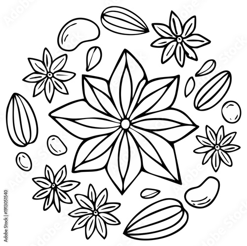 Hand drawn illustration of star anise and almonds arranged in a circular pattern