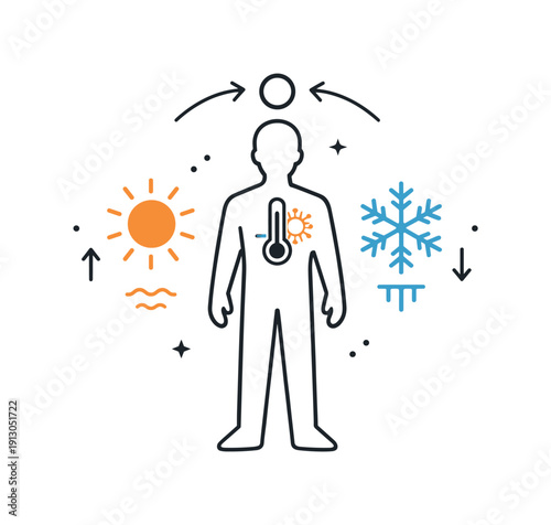 Maintaining homeostasis. A balanced body silhouette between hot and cold symbols, showing stable internal temperature. The illustration