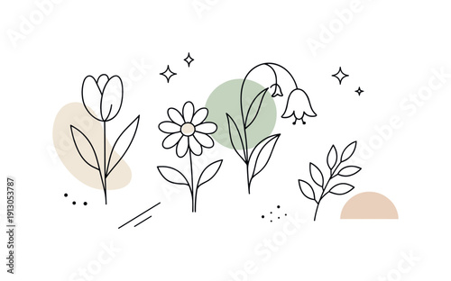 Modern botanical lines. Abstract arrangement of floral line art combined with gentle geometric accents. The scene feels decorative,