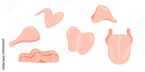 Cartoon meat. Fresh meat products. Kitchen, market. Food icons. Raw beef, chicken, pork, lamb ribs, smoked ham and lard