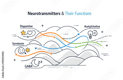 Neurotransmitters and their functions. Conceptual composition of signal paths flowing smoothly across a calm abstract brain landscape. Sense