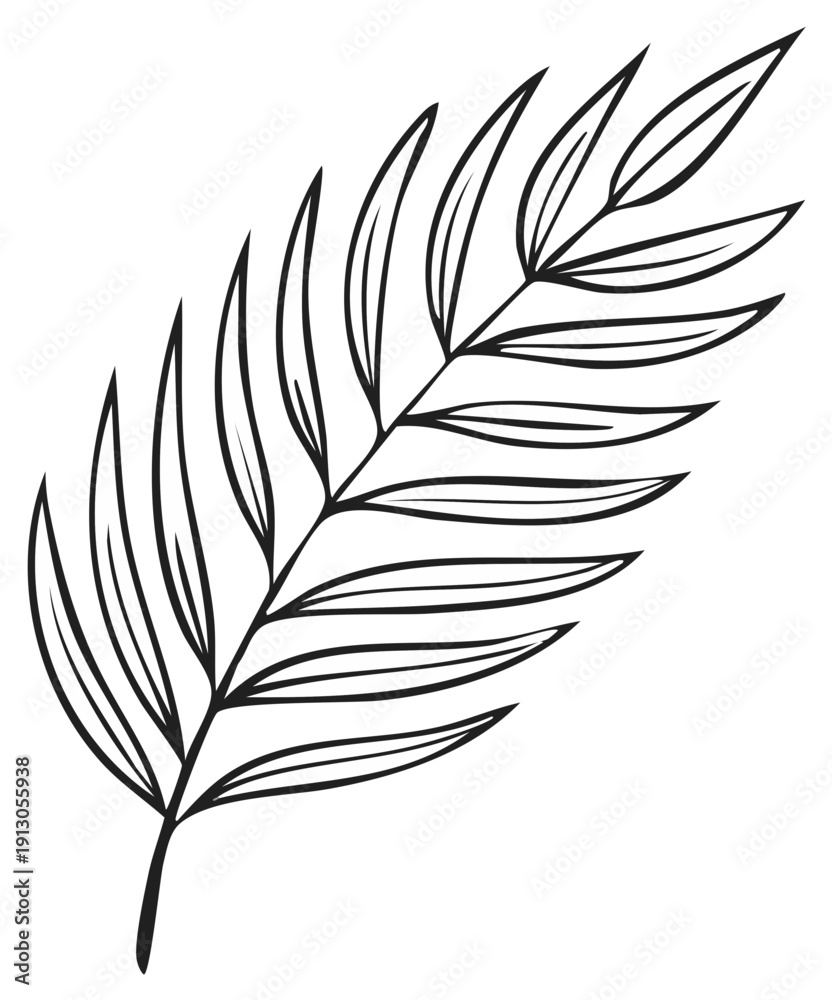 Obraz premium Delicate Outline of a Single Palm Frond for Tropical Decor and Design Elements