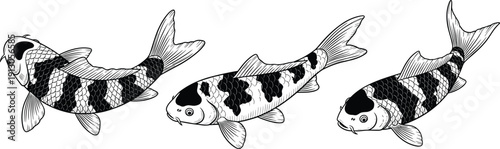 Vector illustration of koi fish in monochrome line art symbolizing perseverance, strength, good fortune, culture, nature, and education