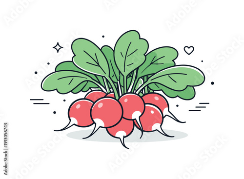    Radish bunch. Radishes gathered loosely with leafy greens spreading gently outward, creating a light and organic composition. The mood is