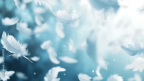 Floating White Feathers in Soft Blue Light Background Abstract Motion