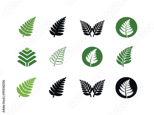 Greenery. Icon set. Set Logo of Greenery: fern frond. harmonious logo variations of the same emblematic concept, each with different artistic
