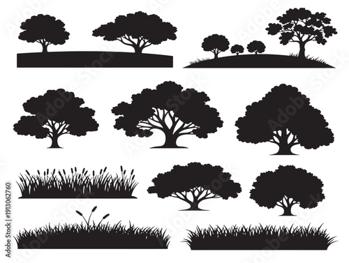 Beautiful field tree silhouettes for gorgeous rural countryside scenes
