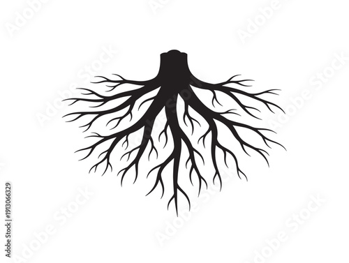 Root spread silhouettes wide branching vector collection