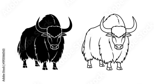 Two yaks with horns and fur, black and white line art illustration Vector