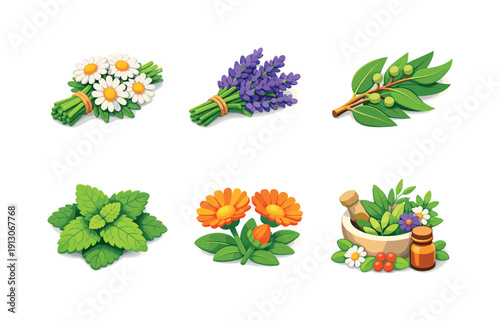    Medicinal herbs. Isometric flat vector icons set of medicinal herbs: chamomile flowers bundle, lavender sprigs bunch, eucalyptus leaves