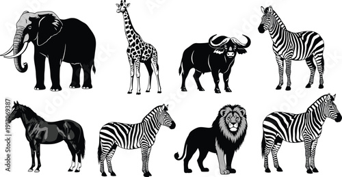 African wildlife animal collection featuring elephant, giraffe, buffalo, zebra, lion and horse isolated on white background, detailed safari vector illustration set