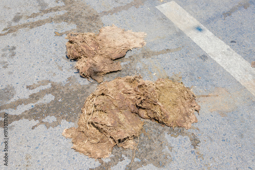 Dry elephant poops on the road side during walking in the open zoo.