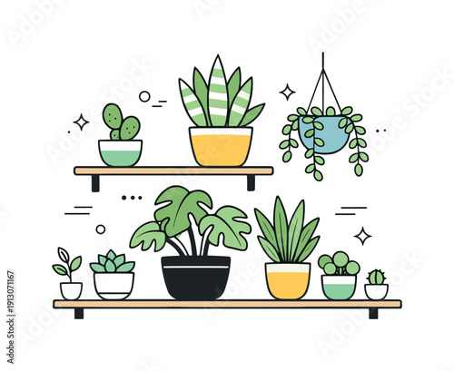 Minimalist Indoor Greenery. Indoor plant collection. Several potted plants of different sizes arranged neatly on shelves, calm and decorative. The composition