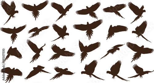 Collection of flying parrot silhouettes isolated on white background, tropical bird set in various wing positions, exotic macaw outline illustration for design, logo, and decoration