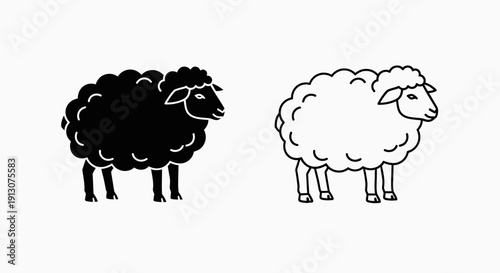 Black and white sheep illustration, vector art, cartoon animals, farm animals Vector