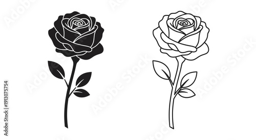 Two black and white roses, one with a dark center and the other with a light center, on a white background Vector