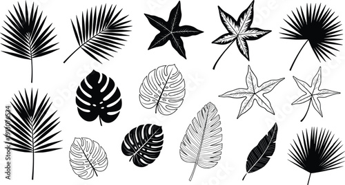 Tropical leaf silhouette collection featuring palm, monstera, and star shaped leaves isolated on white background, botanical vector set for summer design projects