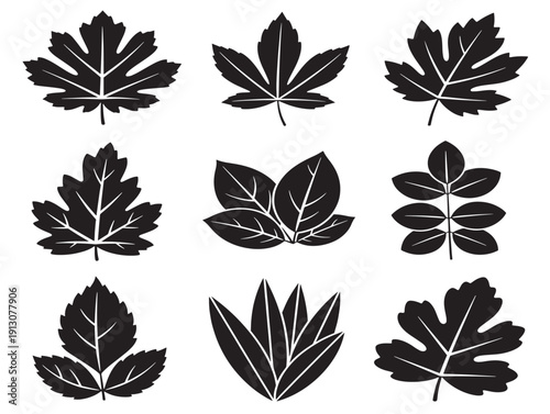 Elegant minimal leaf icons set for stunning modern nature graphics