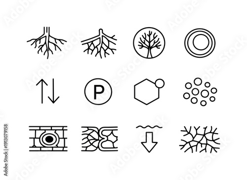 Mycorrhizal Symbiosis Icons. Mycorrhizal symbiosis. Line icon set of Mycorrhizal symbiosis: plant root, fungal hyphae, arbuscule, vesicle, nutrient exchange