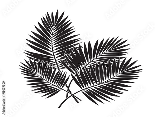 Gorgeous leaves silhouette collection for stunning summer paradise designs