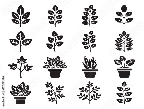 Verdant greenery clipart pack for stunning plant and foliage illustrations