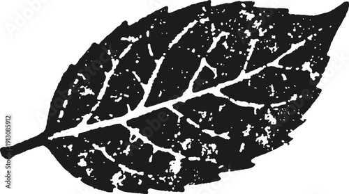 Black leaf silhouette with visible vein structure on white background