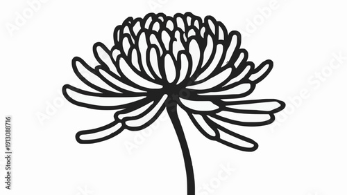 White Chrysanthemum Mourning Flower Line Icon Vector