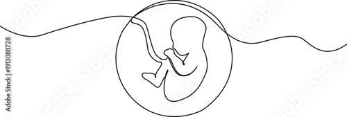 A delicate illustration of a fetus inside an amniotic sac, surrounded by a wavy line. Vector