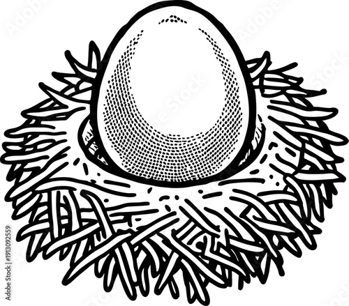 Vintage hand drawn illustration of a bird egg in nest with straw and twigs detailed sketch