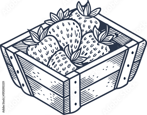 Wooden crate filled with fresh strawberries, hand drawn vintage fruit illustration