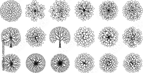 Tree Top View Handdrawn Collection Botanical Canopy Sketch Landscape Plan Elements Vector Illustration Set