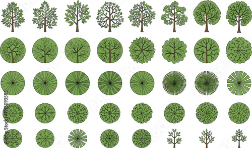 Tree Top View Collection Landscape Plan Symbols Forest Canopy Botanical Green Vector Illustration Set