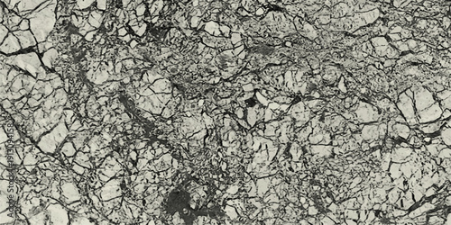 13maebal Detailed structure of abstract marble black and white(gray).White marble texture for background or tiles floor decorative design.	41