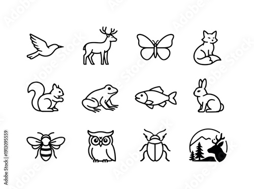   Fauna photography. Line outline icon set of fauna photography: bird in flight, deer