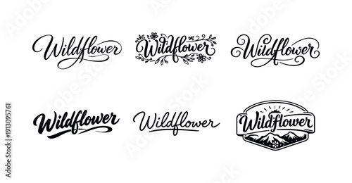 Script Lettering Variations. Wildflower script. Set lettering. harmonious lettering variations of the same emblematic concept, each with different artistic