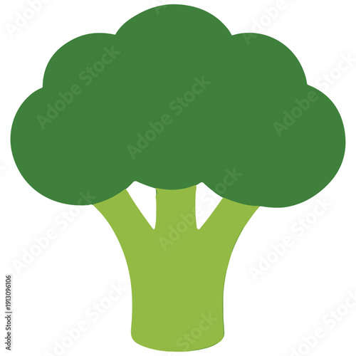 A healthy head of green broccoli in a clean, flat-style illustration. Perfect for nutrition, vegan cooking, and health-related icons.