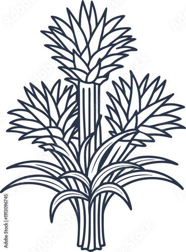 detailed line art illustration of pineapple plant with leaves and unripe fruit