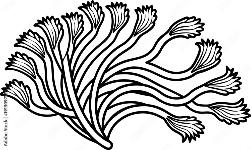 Obraz premium stylized black and white seaweed illustration with flowing curved fronds and delicate tips