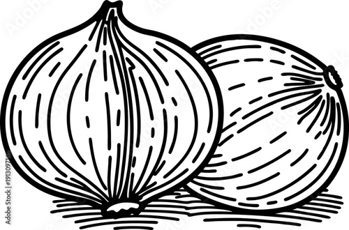 Black and white hand drawn onions illustration two fresh whole onions with textured skin details and shading lines