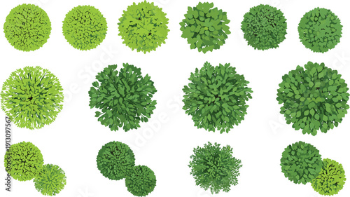 Green Tree Top View Collection Forest Canopy Foliage Landscape Garden Nature Vector Illustration Set