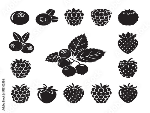 Delicate berry collection with beautiful wild and cultivated fruit silhouette designs